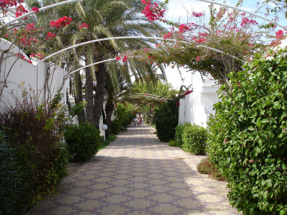 Gartenanlage El Mouradi Club Kantaoui