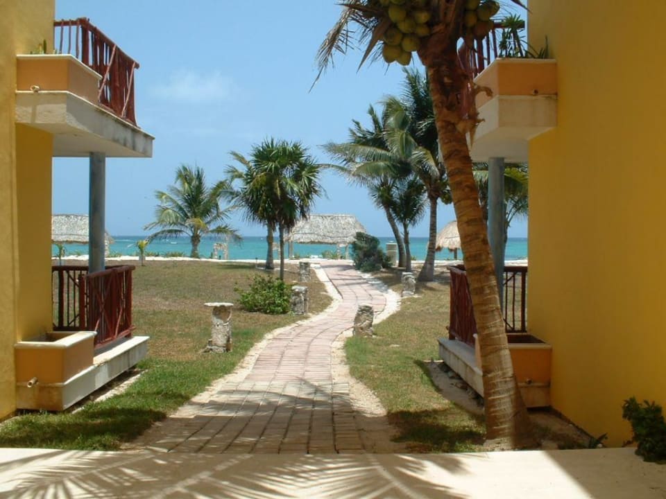 Weg zum Strand Akumal Bay Beach & Wellness Resort