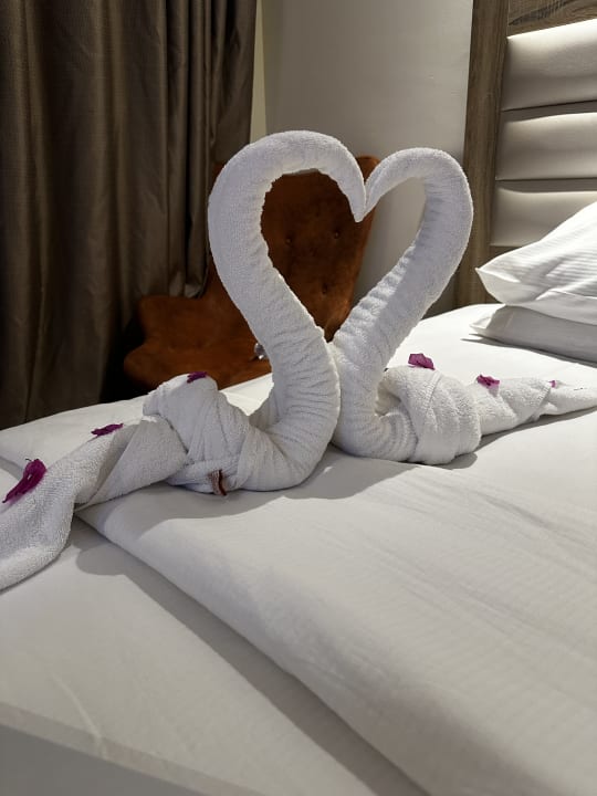 Zimmer Beach Albatros Resort
