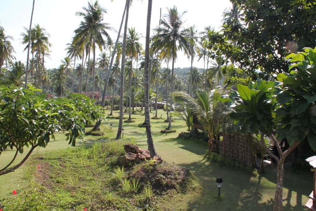Palmengarten Koh Kood Beach Resort