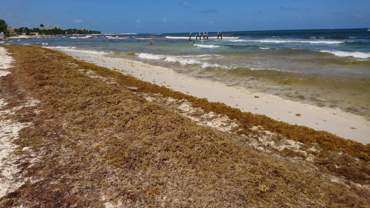 Strand Iberostar Waves Paraiso del Mar