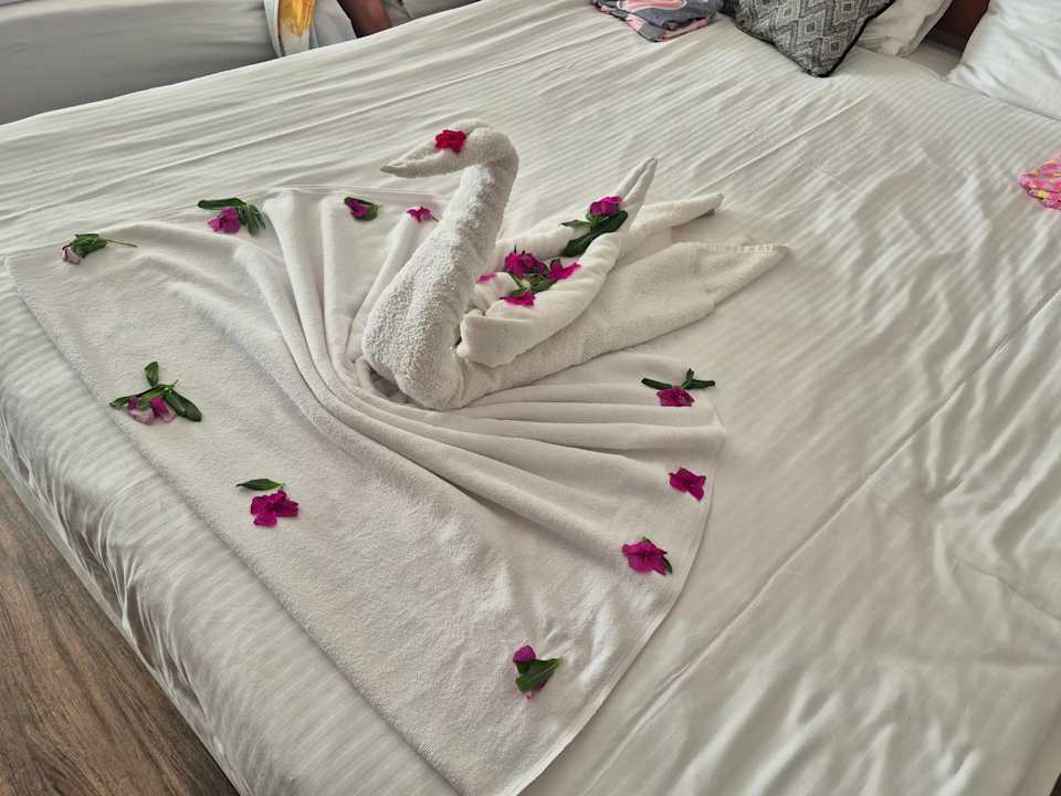 Zimmer Seaden Sea Planet Resort & Spa