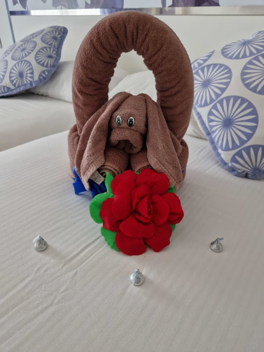 Zimmer Hotel Riu Playacar