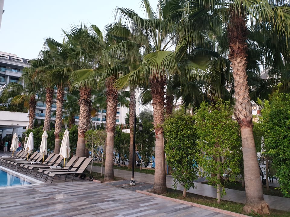 Gartenanlage Castival Hotel