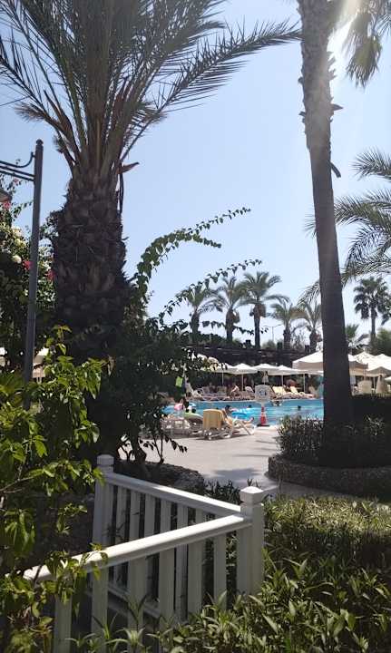 Pool Belek Beach Resort Hotel