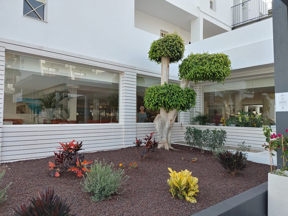 Außenansicht Sol Fuerteventura Jandia - All Suites