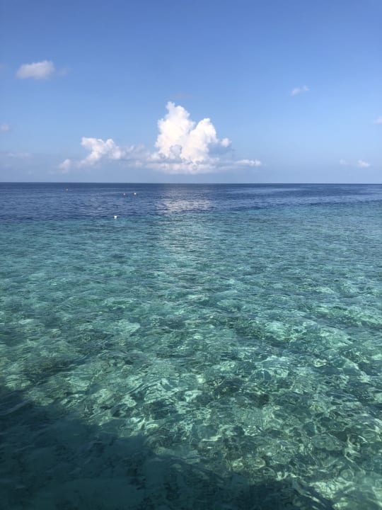 Ausblick Cinnamon Velifushi Maldives - Free One-Way Speedboat and 02 Kids Under 12 Stay & Dine Free