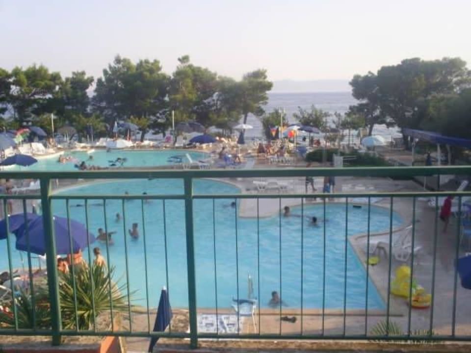 Pool Bluesun Hotel Neptun