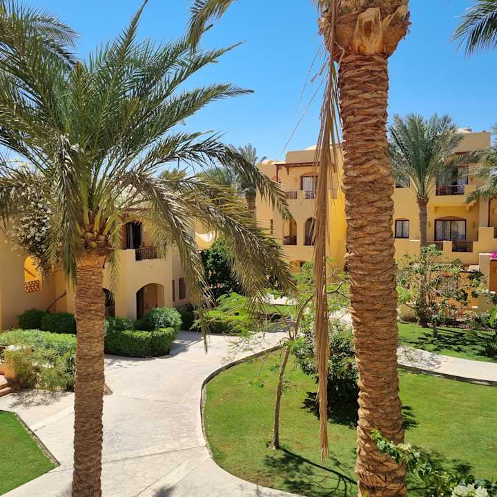 Gartenanlage Steigenberger Coraya Beach - Adults only