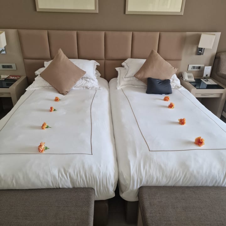 Zimmer Cleopatra Luxury Resort Makadi Bay