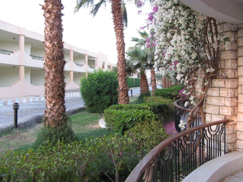 Бульвар между Али-Бабой и Аладдином Ali Baba Palace Resort