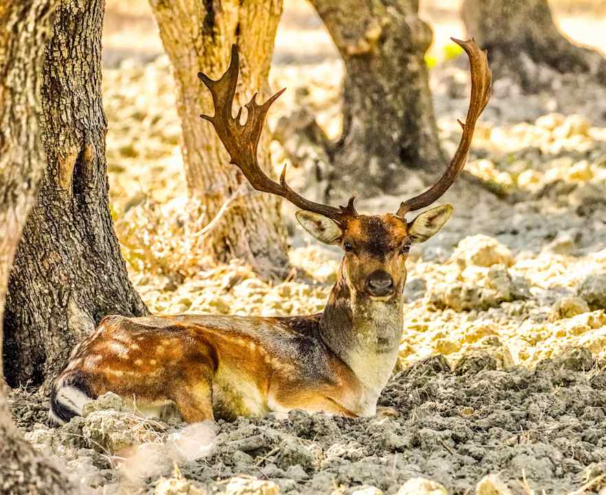 Sonstiges Ekaterini Hotel