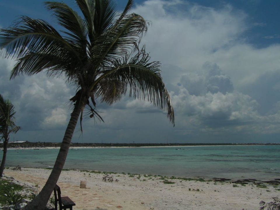 Palme am Strandweg Hotel Colonial Fiesta Grand Resort & Spa