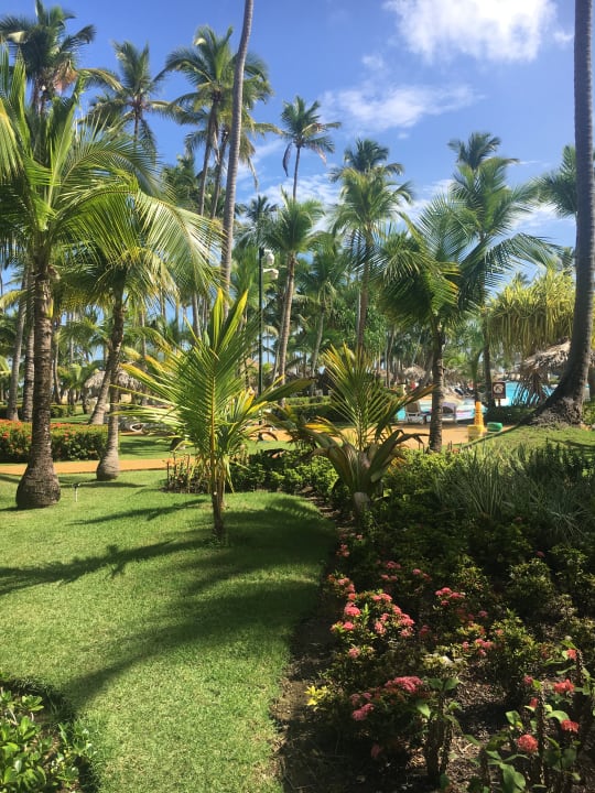 Gartenanlage Meliá Caribe Beach Resort-All Inclusive