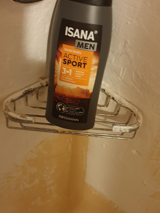 Zimmer Clover Magic Nova Beach