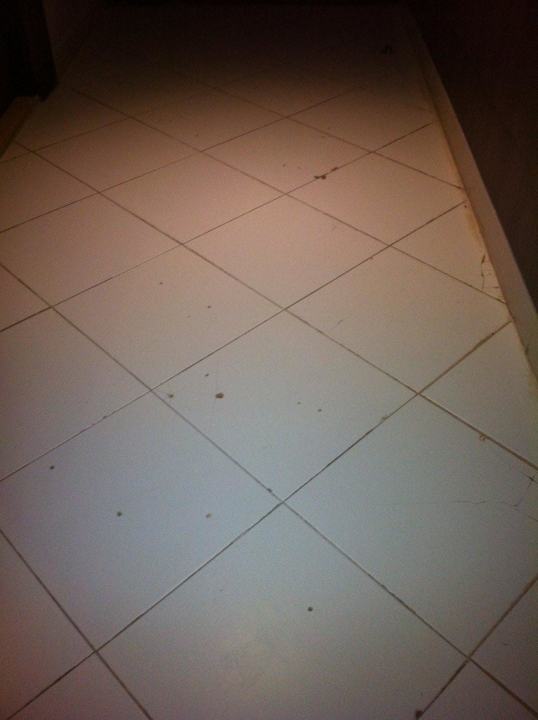 Dreck, Dreck, Dreck.... Hotel Rosa Beach