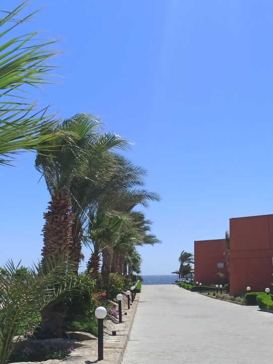 Sonstiges Three Corners Happy Life Beach Resort