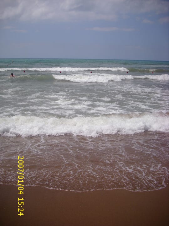 Da schwimmen? Kamelya Aishen Club