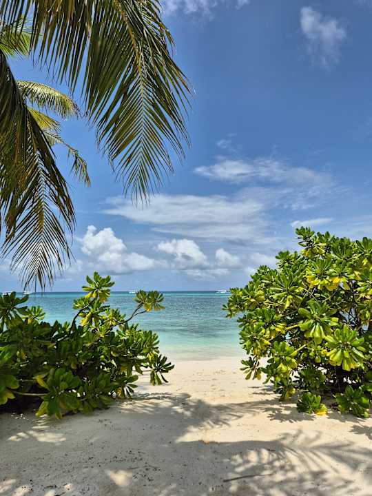 Zimmer Kuredu Island Resort & Spa