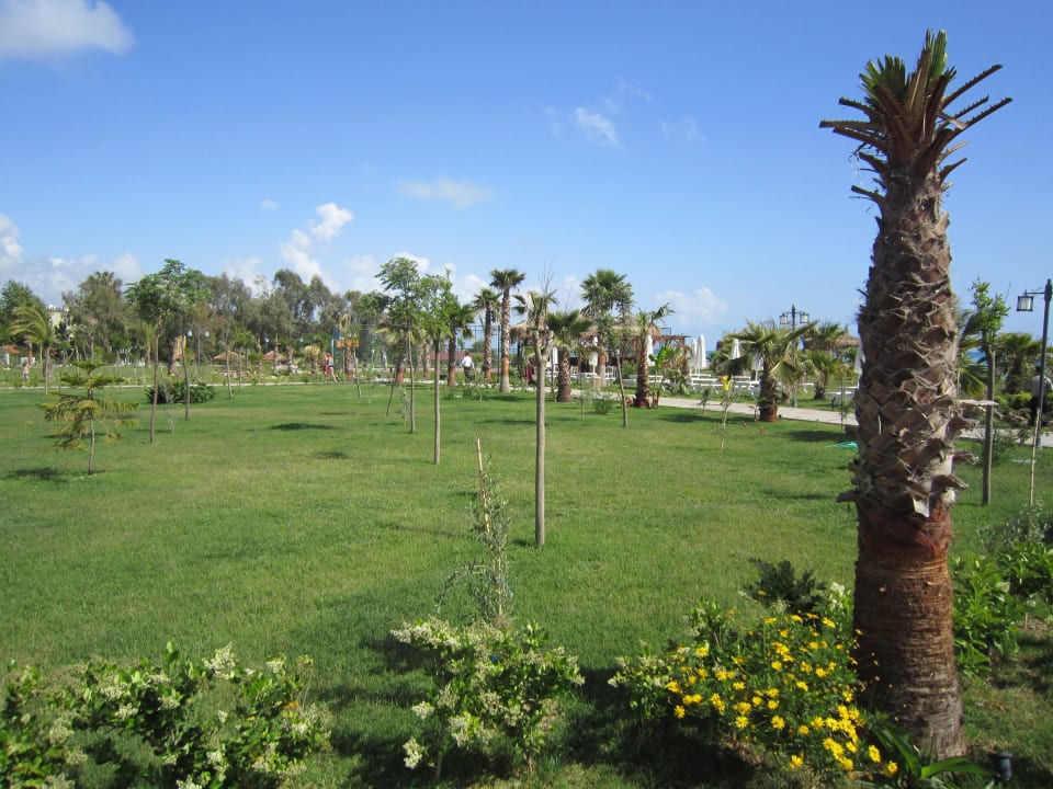 Garden Seaden Sea Planet Resort & Spa