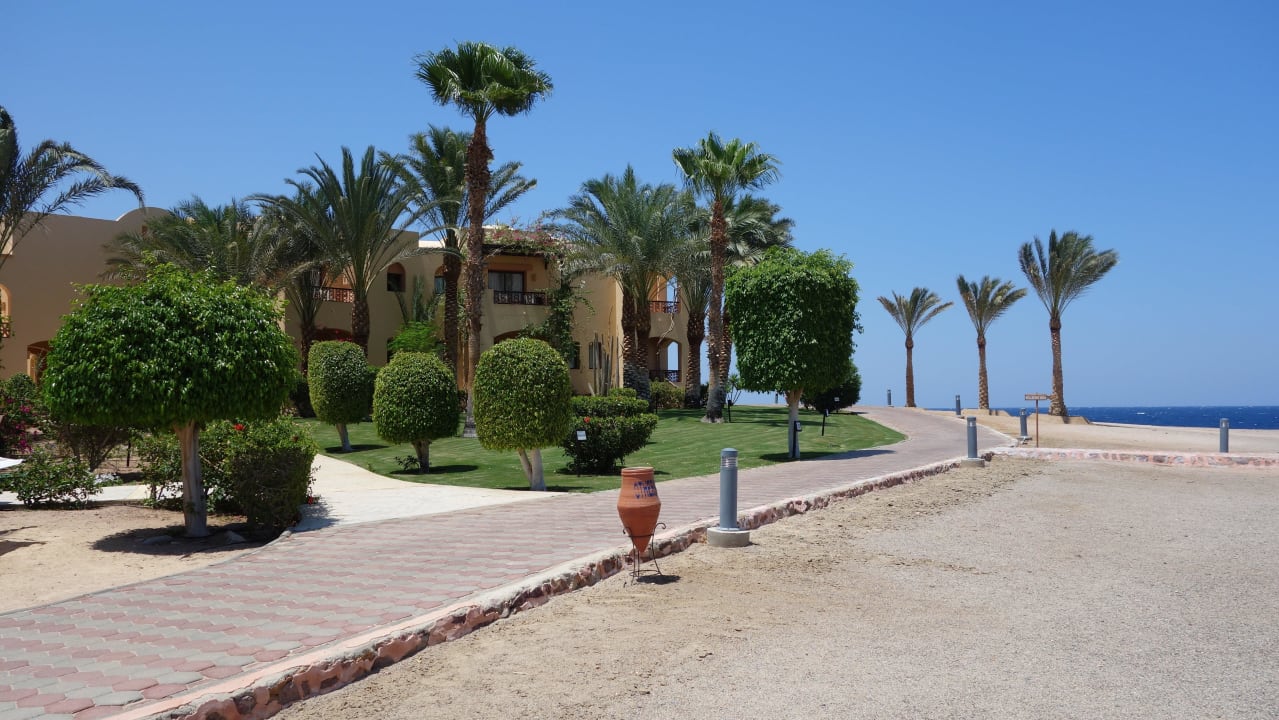 Zum Strand Steigenberger Coraya Beach - Adults only