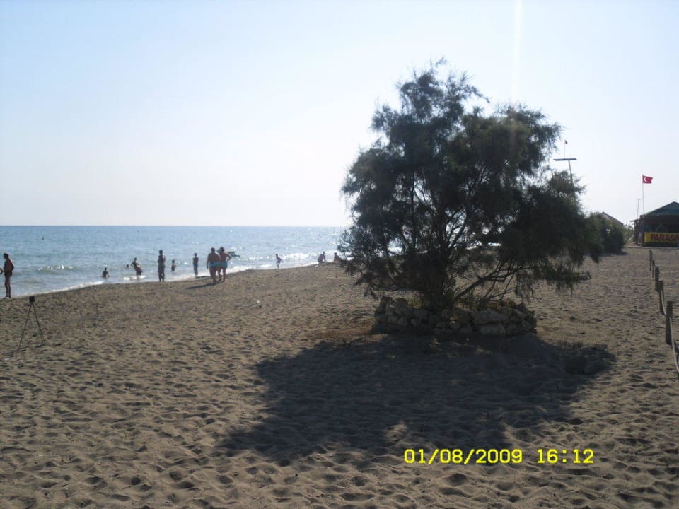 Strand Crystal Paraiso Aqua Collection