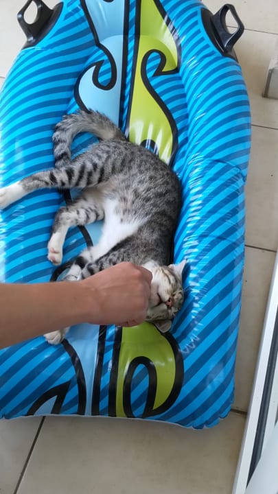 Zimmer Labranda Alantur Resort