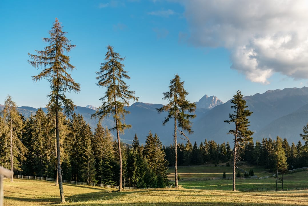 Sonstiges Oberhauser Hütte Rodenecker-Lüsneralm