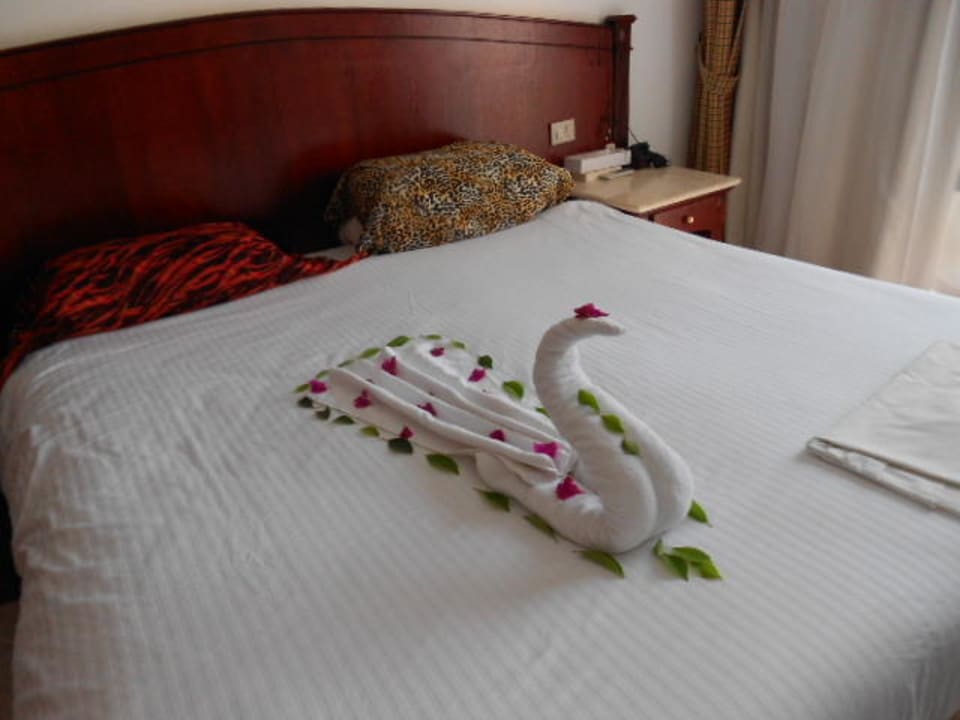 Schwan Beach Albatros Resort