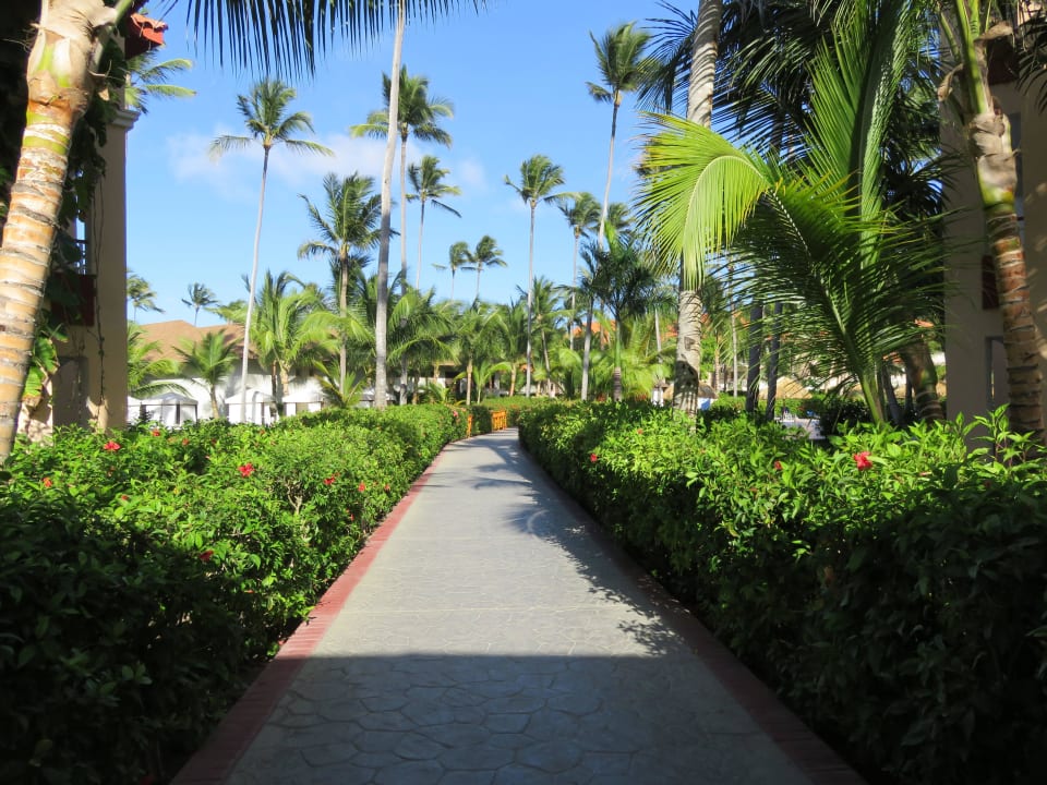 Weg Majestic Elegance Punta Cana