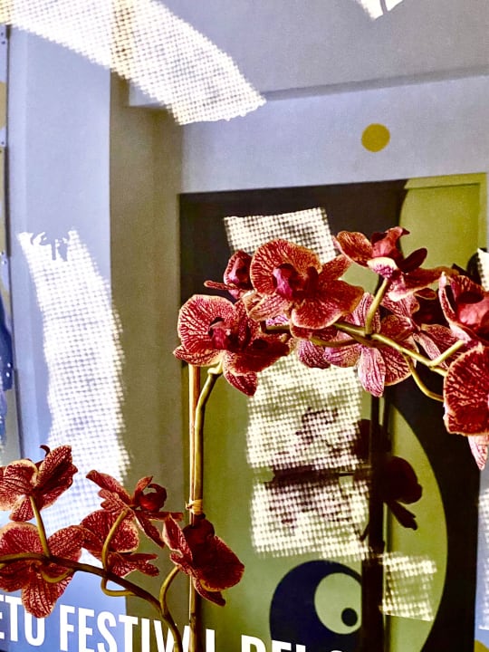 Sonstiges Arca Street Art Hotel