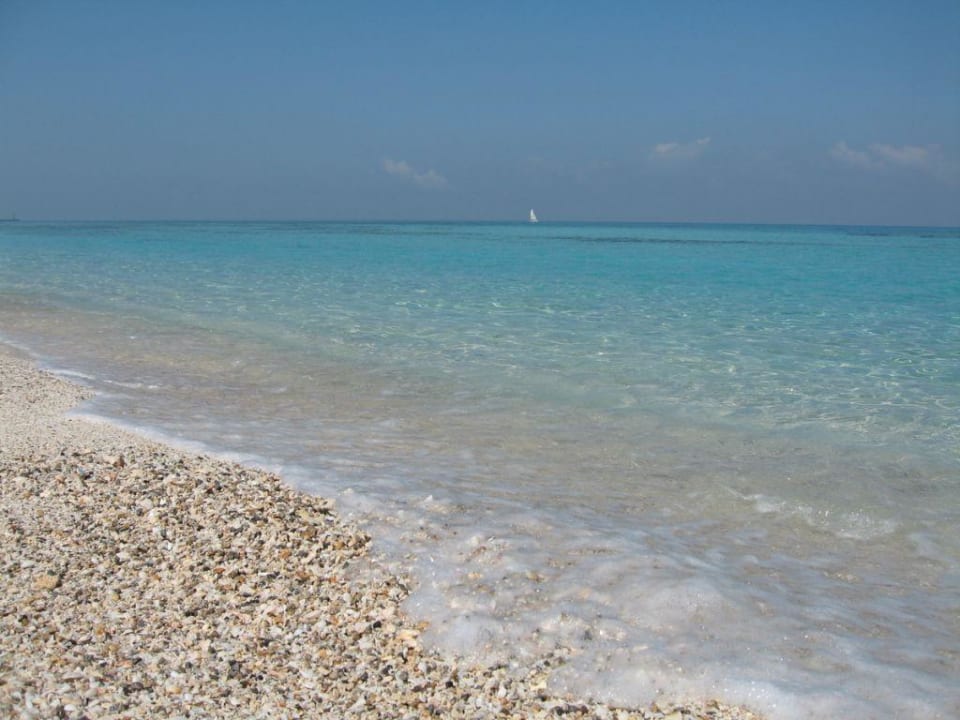 Strand mit kleinen Muscheln Hotel Puntarena Playa Caleta