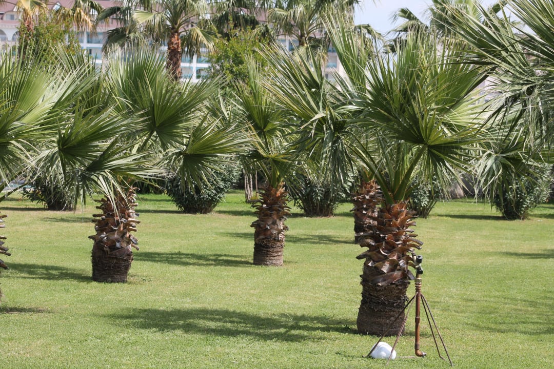 Garten Hane Family Resort