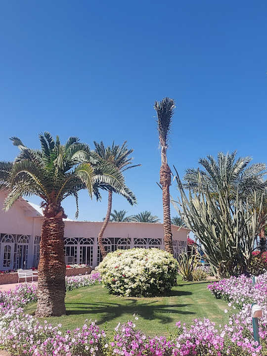 Außenansicht Desert Rose