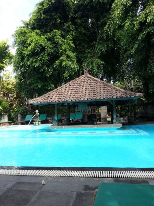 Pool Hotel Puri Bambu