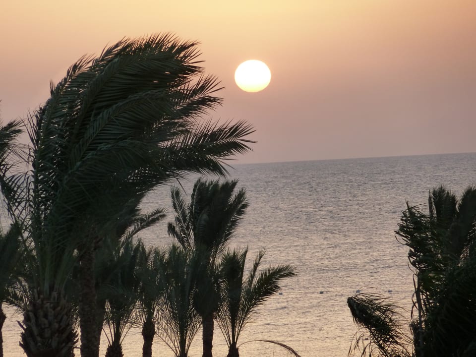 Ausblick Makadi Spa - Adults only