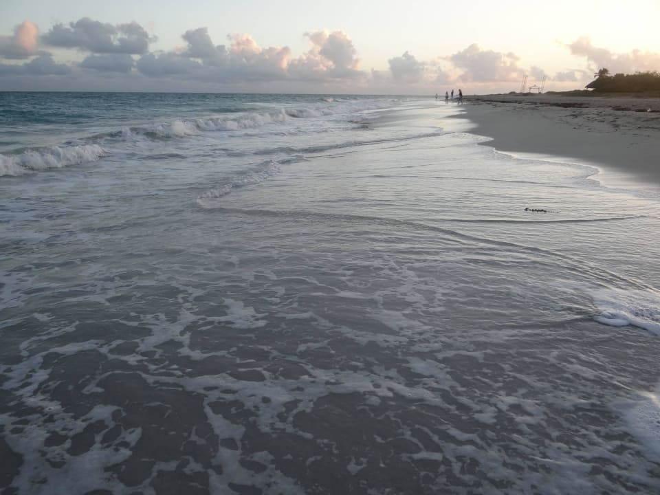 Karibik Valentin El Patriarca Varadero