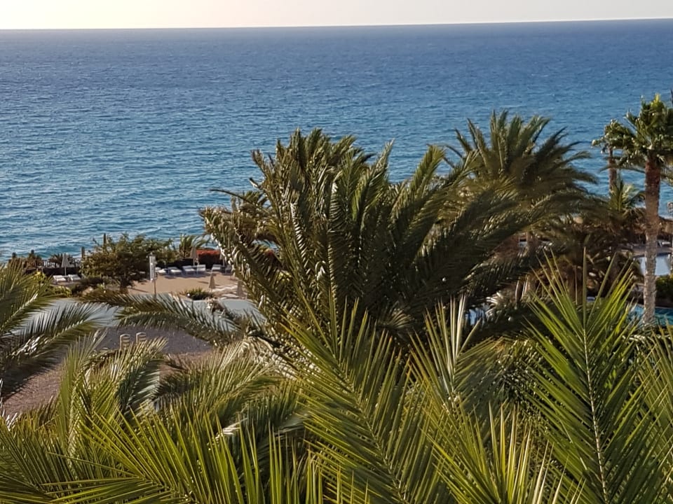 Ausblick R2 Pajara Beach