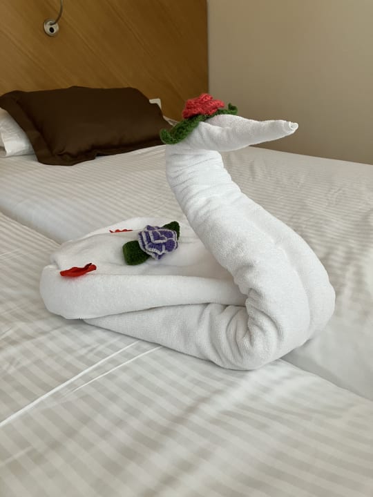 Zimmer Side Star Beach