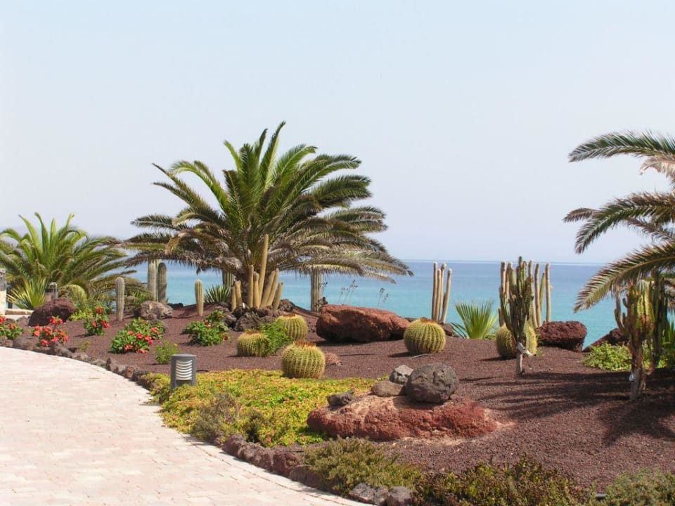 Gartenanlage R2 Pajara Beach