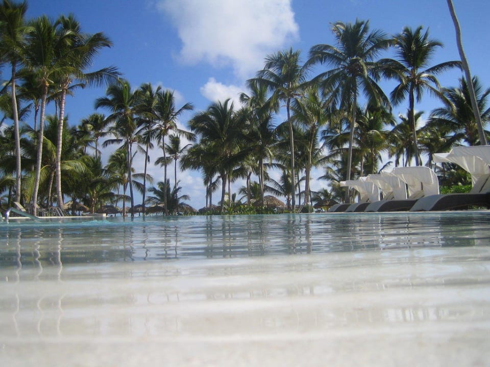Wunderschön auch mit Bedienung im Pool Catalonia Royal Bavaro - Adults only