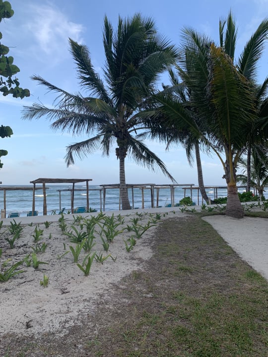 Außenansicht Akumal Bay Beach & Wellness Resort