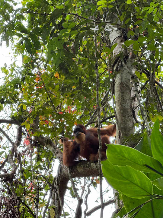 Gartenanlage Friendship Guesthouse