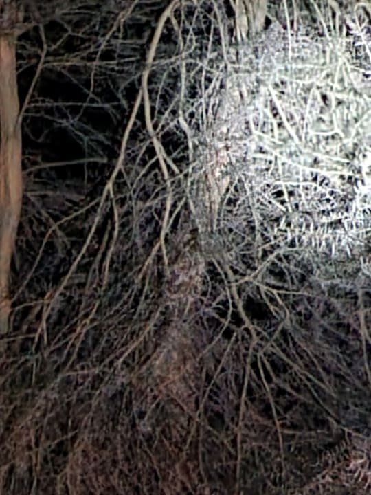 Sonstiges Bahari Beach Hotel