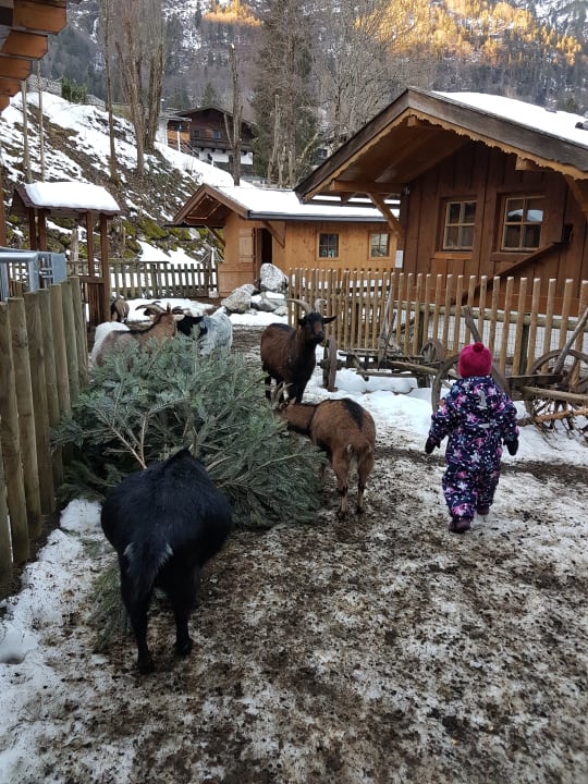 Streichelzoo POST Family Resort