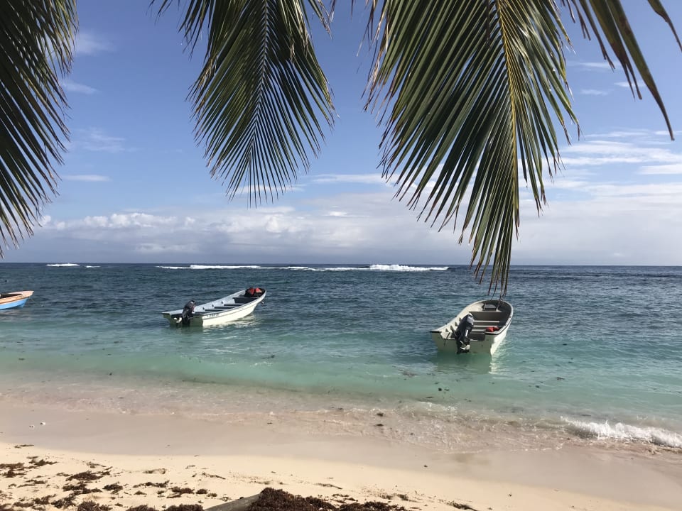 Strand Wyndham Alltra Samana