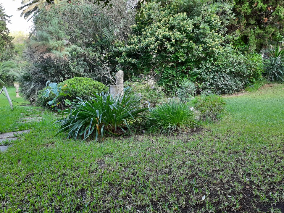 Gartenanlage Lago Garden