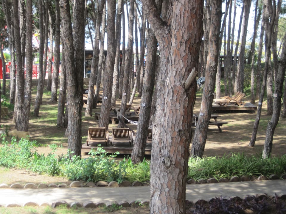 Gartenanlage Sueno Hotels Beach Side
