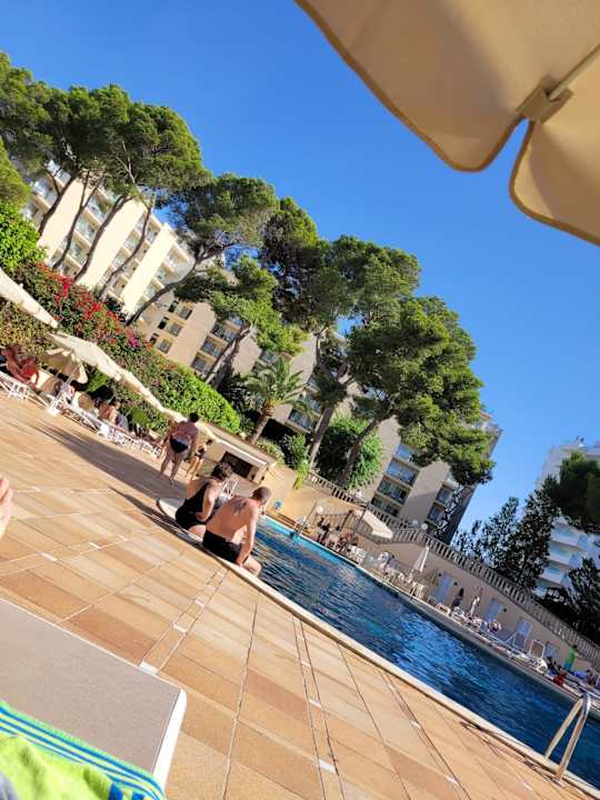 Pool Grupotel Orient