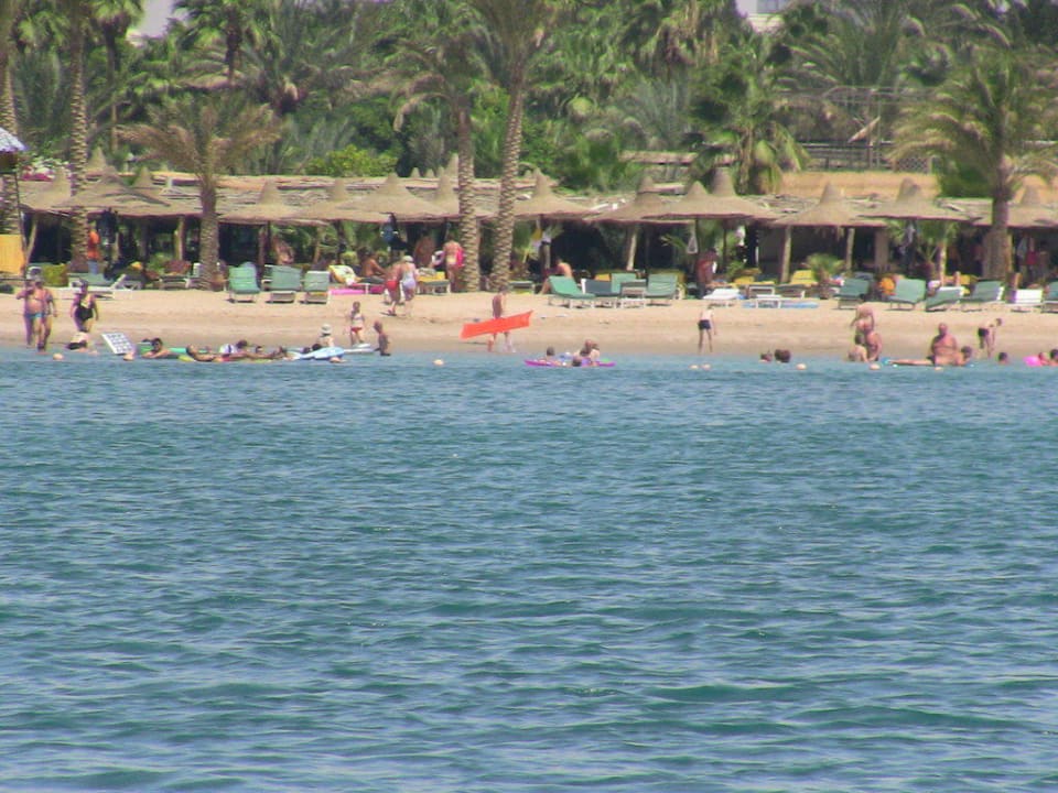 Vom Boot aus der Strand Giftun Azur Resort